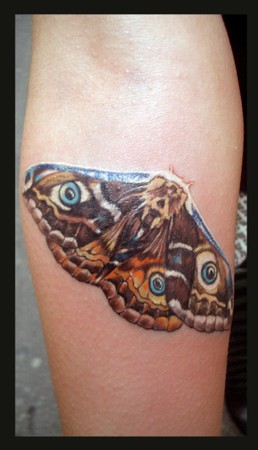 Tattoos - Michele Turco - Moth butterfly night